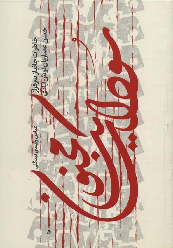 کتاب سودای یک مجنون