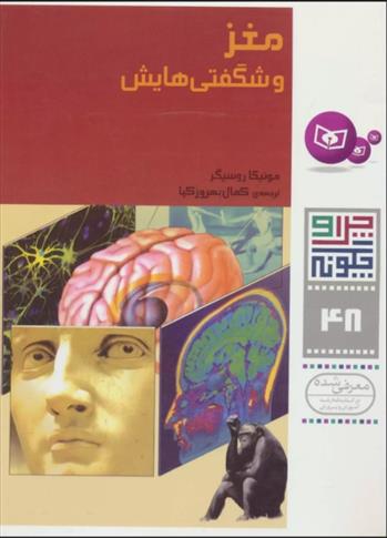 کتاب مغز و شگفتی هایش