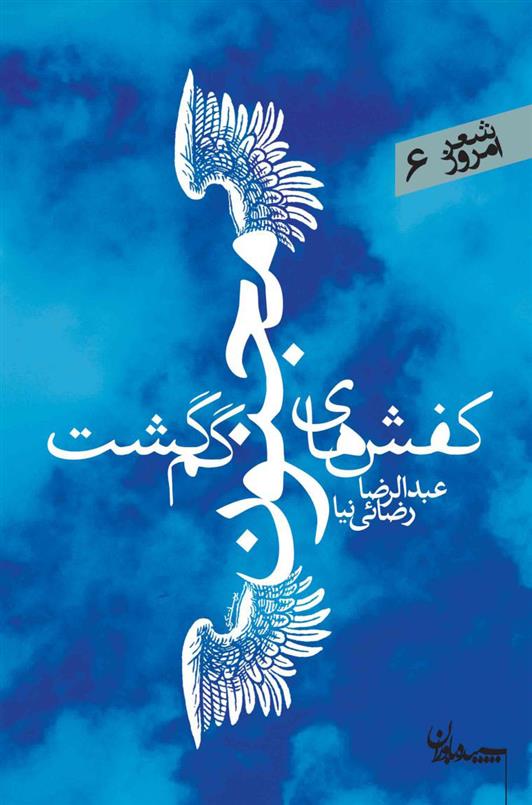 کتاب کفشهای مجنون گم گشت