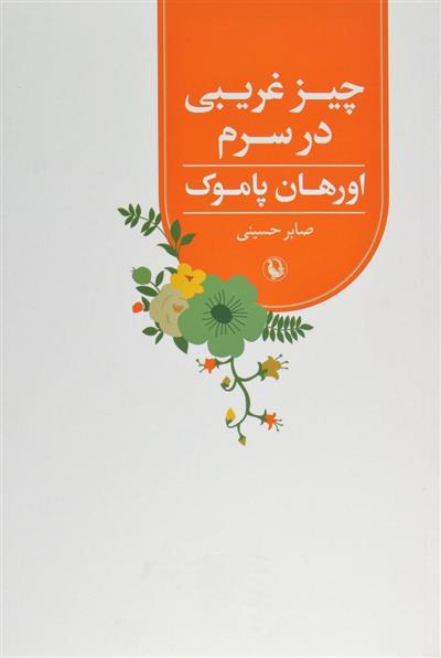 کتاب چیز غریبی در سرم