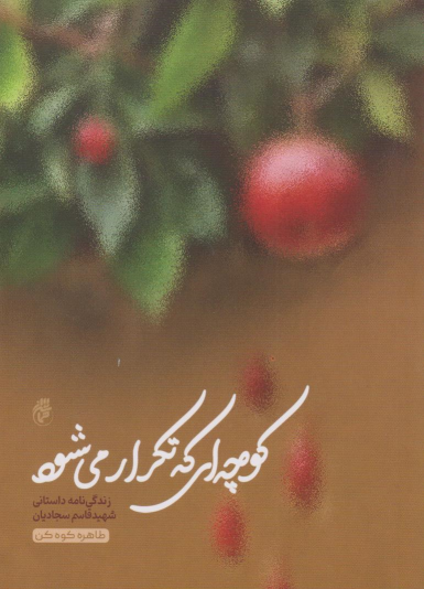 کتاب کوچه‌ای که تکرار می‌شود