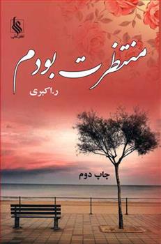 کتاب منتظرت بودم