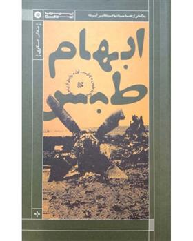 کتاب ابهام طبس