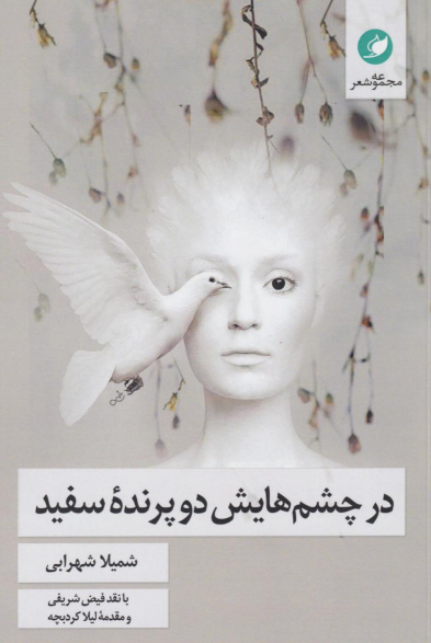 کتاب در چشم‌هایش دو پرنده سفید