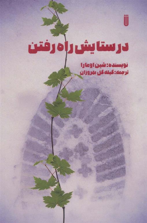 کتاب در ستایش راه رفتن