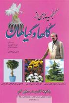 کتاب گنجینه ای از گلها و گیاهان