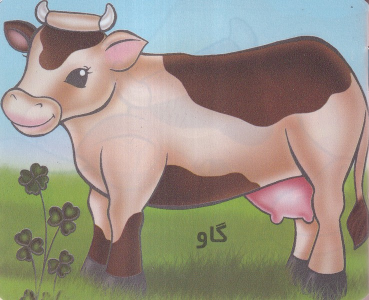 کتاب گاو