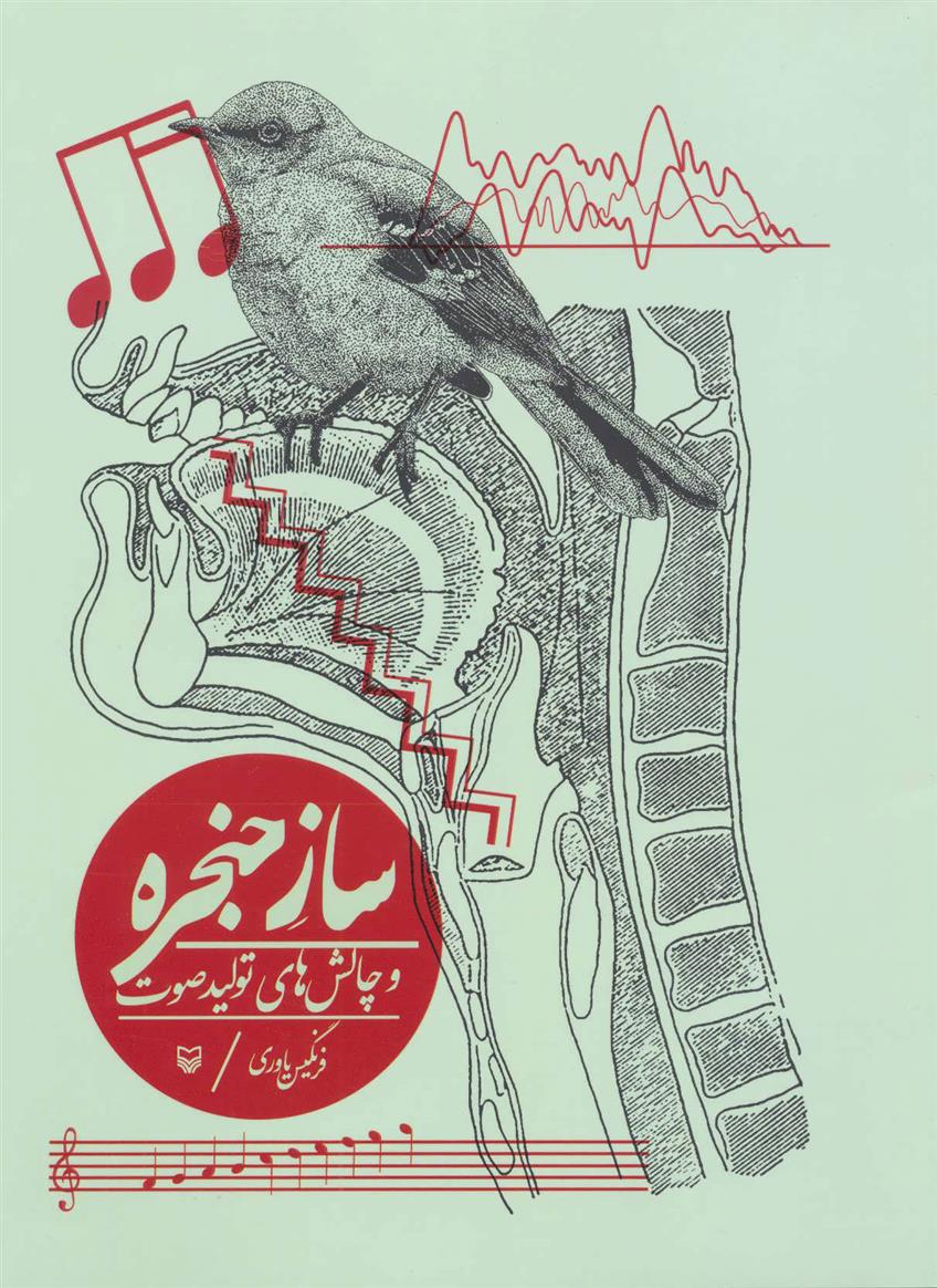کتاب ساز حنجره