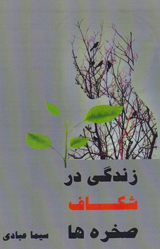 کتاب زندگی در شکاف صخره ها