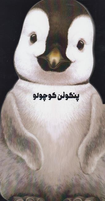 کتاب پنگوئن کوچولو