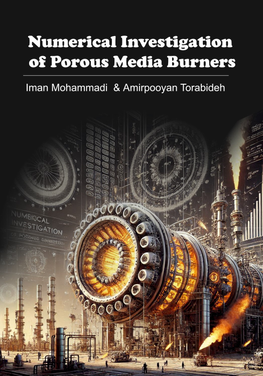 کتاب Numerical Investigation of Porous Media Burners