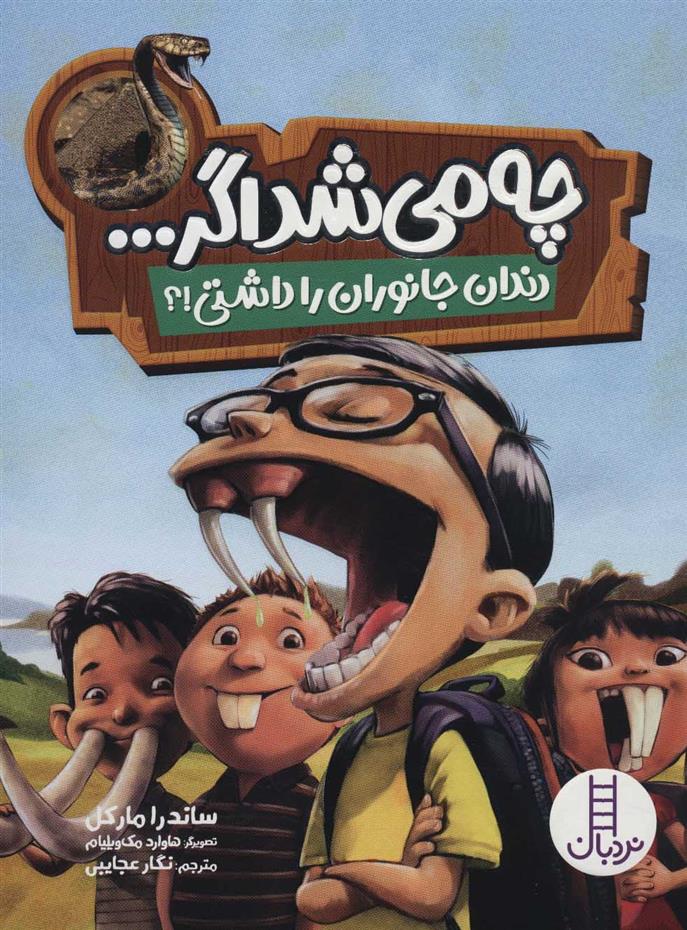 کتاب چه می شد اگر…