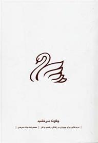 کتاب چگونه بدرخشید
