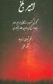 کتاب امیر بلخ