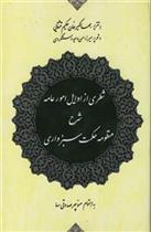 کتاب شطری‏ از اوایل‏ امور عامه