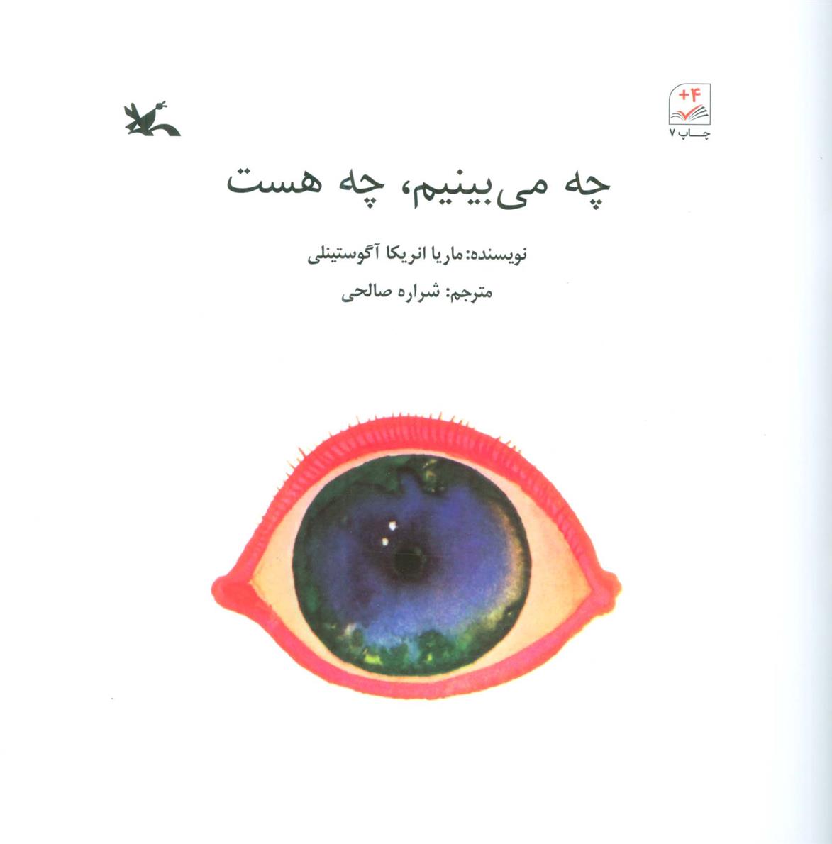 کتاب چه می بینم ، چه هست