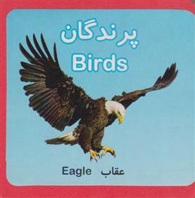 کتاب پرندگان