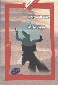 کتاب هندسه ی معنا در پرگار مولانا