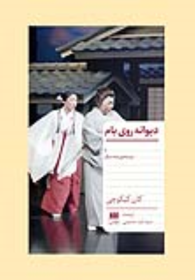 کتاب دیوانه روی بام و دو نمایش‌نامه دیگر