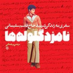 کتاب نامزد گلوله ها