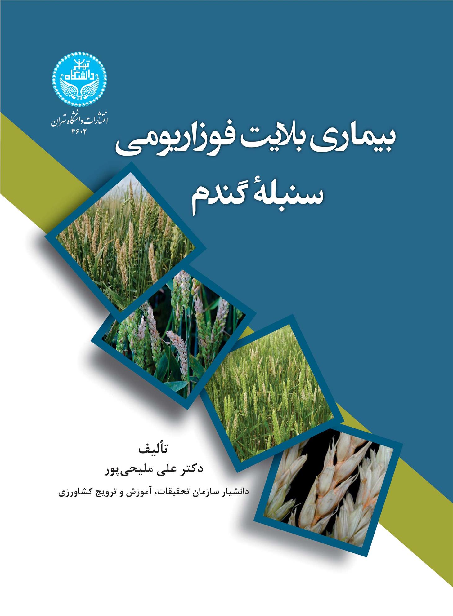 کتاب بیماری بلایت فوزاریومی سنبله گندم