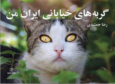 کتاب گربه های خیابانی ایران من;