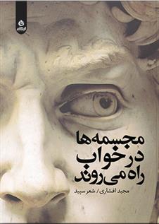 کتاب مجسمه ها در خواب راه می روند
