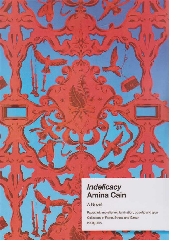 کتاب Indelicacy