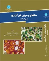 کتاب سنگهای رسوبی غیر آواری