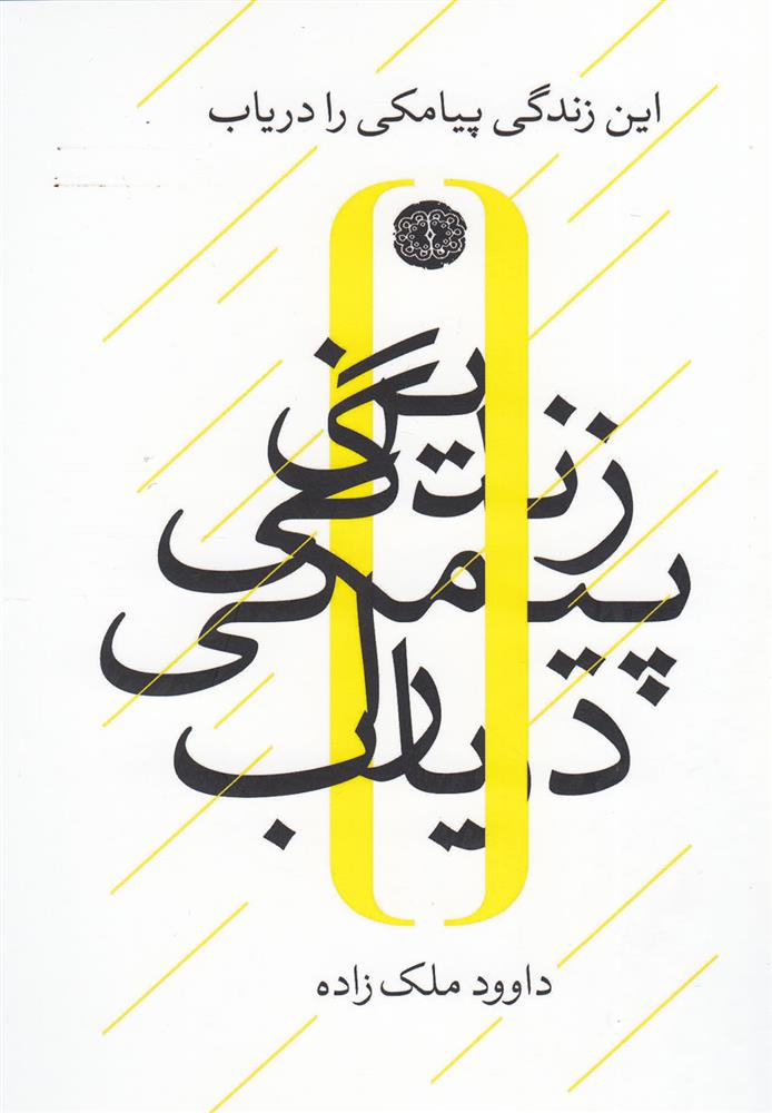 کتاب این زندگی پیامکی را دریاب