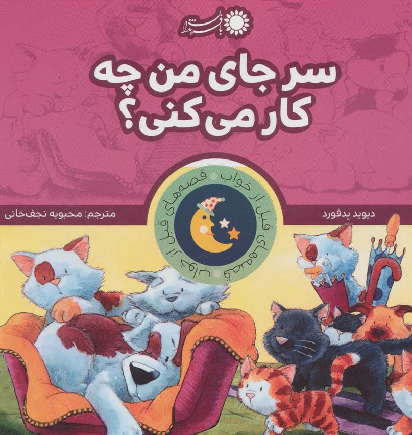 کتاب سر جای من چه کار می کنی؟