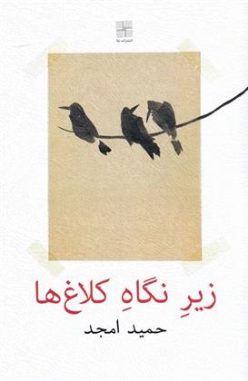 کتاب زیر نگاه کلاغ ها