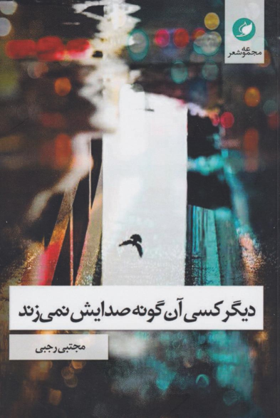 کتاب دیگر کسی آن‌گونه صدایش نمی‌زند