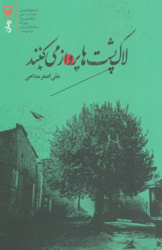 کتاب لاک پشت ها پرواز می کنند