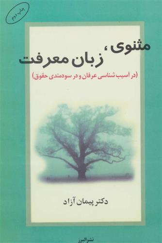 کتاب مثنوی، زبان معرفت