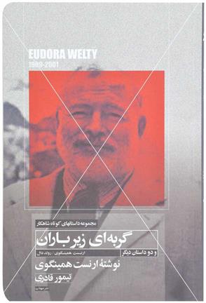 کتاب گربه ای زیر باران