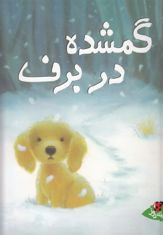 کتاب گمشده در برف