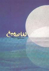 کتاب لغات میغ