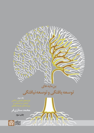 کتاب بن مایه های توسعه یافتگی و توسعه نیافتگی (جلد سوم)