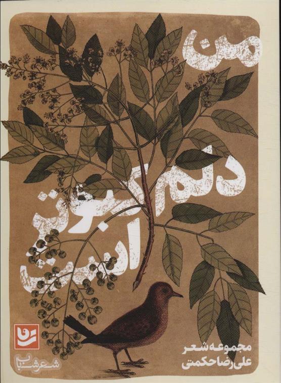 کتاب من دلم کبوتر است