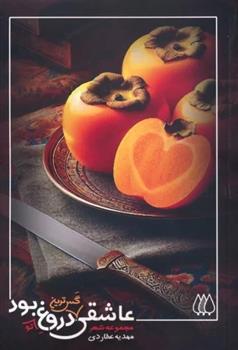 کتاب عاشقی گس ترین دروغ تو بود...