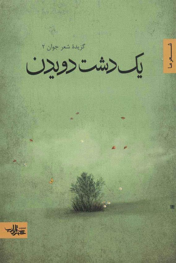 کتاب یک دشت دویدن