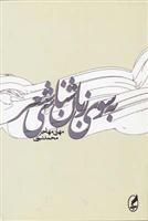 کتاب به سوی زبان شناسی شعر