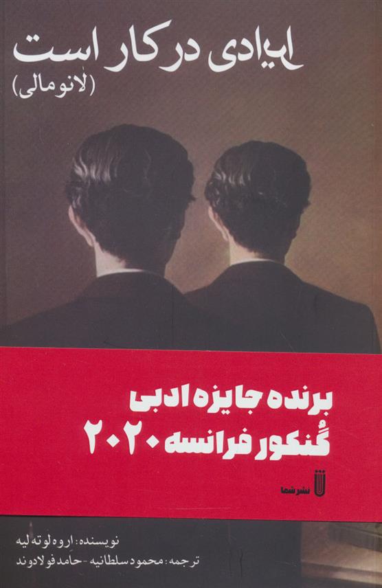 کتاب ایرادی در کار است (لانومالی)