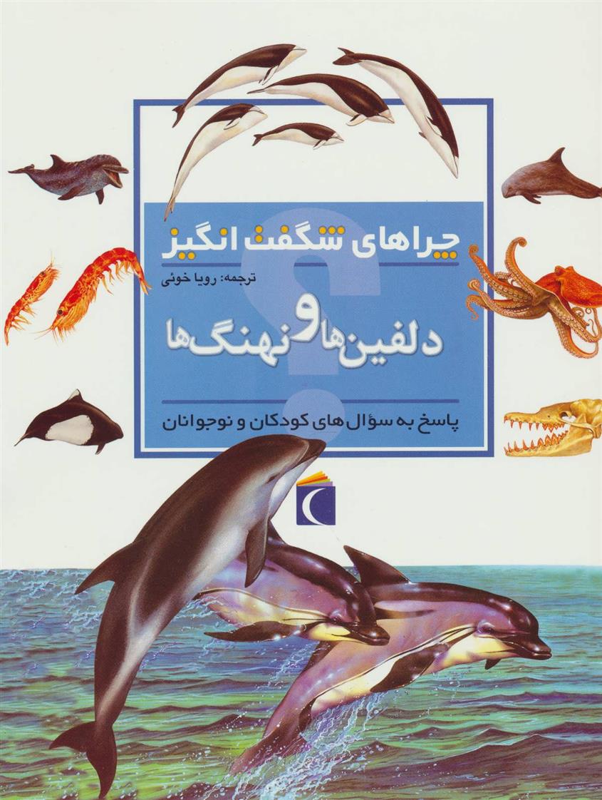 کتاب دلفین ها و نهنگ ها