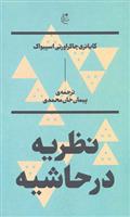 کتاب نظریه در حاشیه