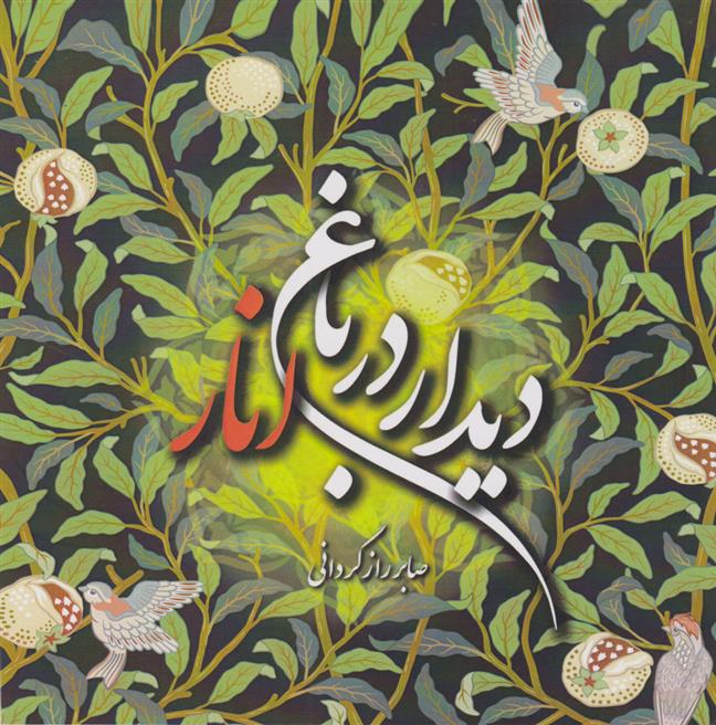 کتاب دیدار در باغ انار