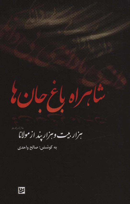 کتاب شاهراه باغ جان ها