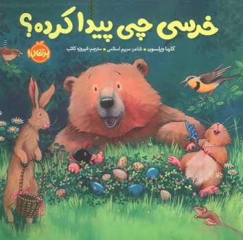 کتاب خرسی چی پیدا کرده؟