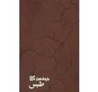 کتاب طبس